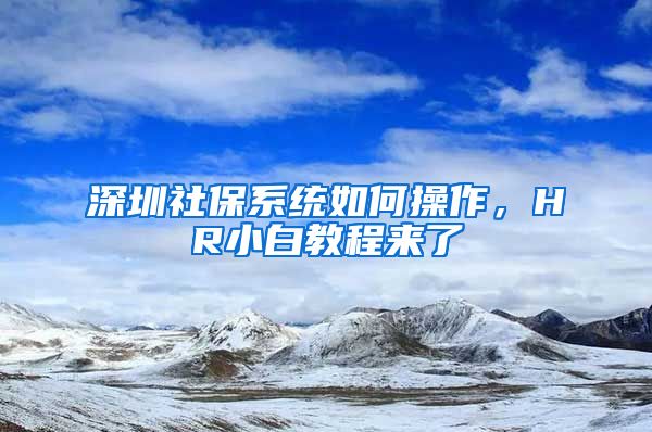 深圳社保系统如何操作，HR小白教程来了