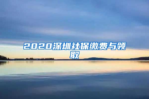 2020深圳社保缴费与领取