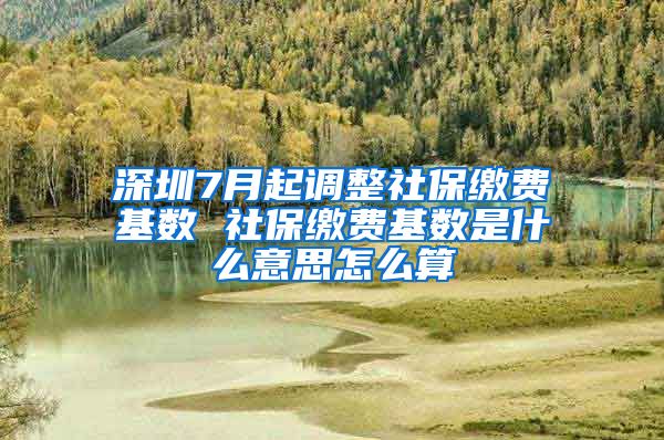 深圳7月起调整社保缴费基数 社保缴费基数是什么意思怎么算