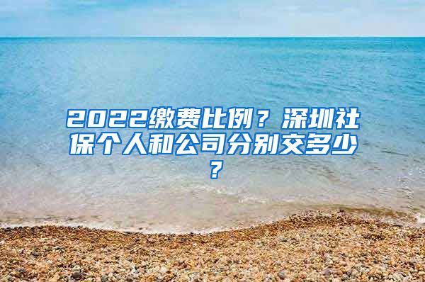 2022缴费比例？深圳社保个人和公司分别交多少？