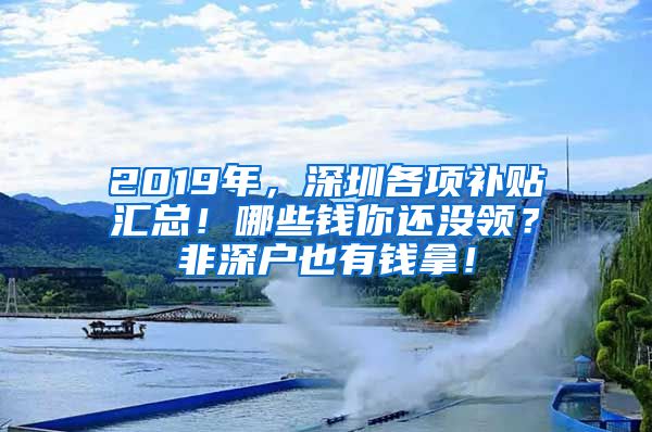 2019年，深圳各项补贴汇总！哪些钱你还没领？非深户也有钱拿！