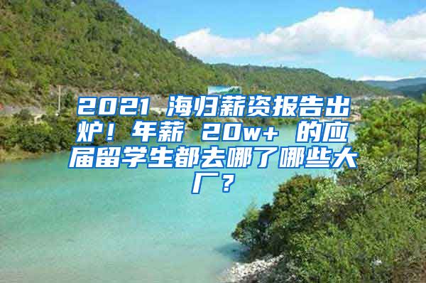 2021 海归薪资报告出炉！年薪 20w+ 的应届留学生都去哪了哪些大厂？