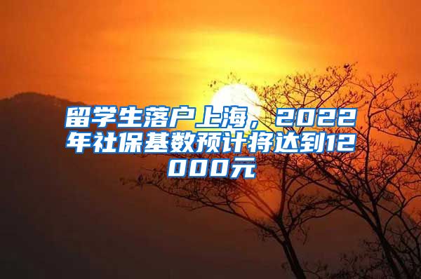 留学生落户上海，2022年社保基数预计将达到12000元