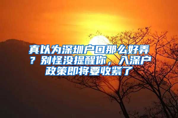 真以为深圳户口那么好弄？别怪没提醒你，入深户政策即将要收紧了