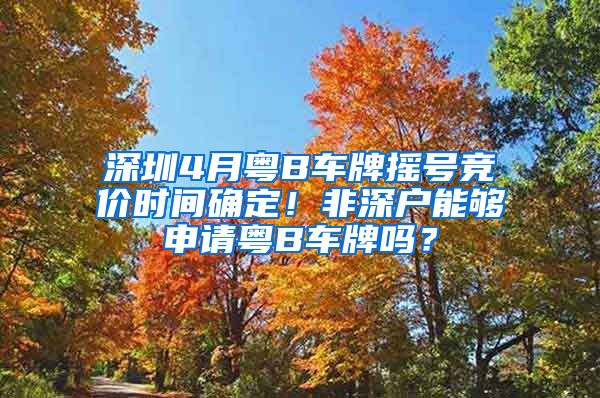 深圳4月粤B车牌摇号竞价时间确定！非深户能够申请粤B车牌吗？