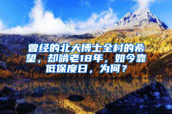 曾经的北大博士全村的希望，却啃老18年，如今靠低保度日，为何？