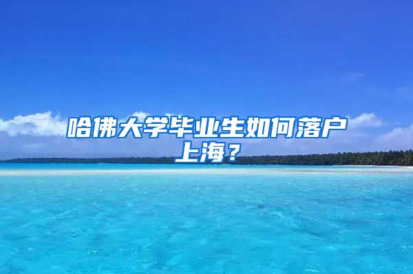 哈佛大学毕业生如何落户上海？