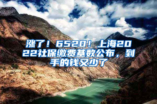 涨了！6520！上海2022社保缴费基数公布，到手的钱又少了