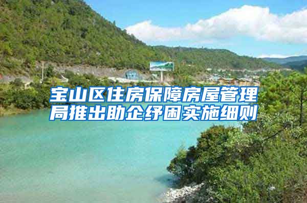 宝山区住房保障房屋管理局推出助企纾困实施细则