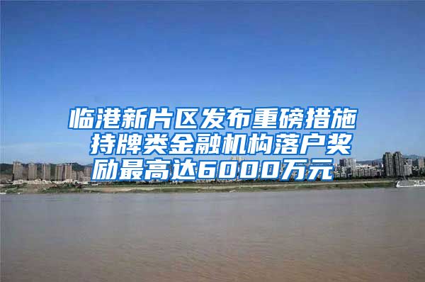 临港新片区发布重磅措施 持牌类金融机构落户奖励最高达6000万元