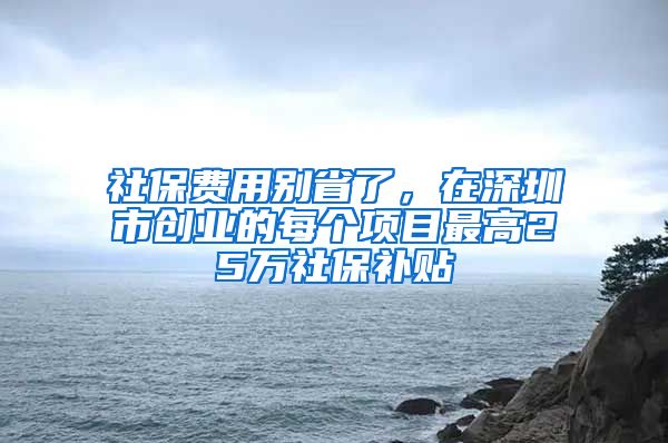 社保费用别省了，在深圳市创业的每个项目最高25万社保补贴