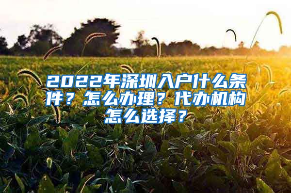 2022年深圳入户什么条件？怎么办理？代办机构怎么选择？