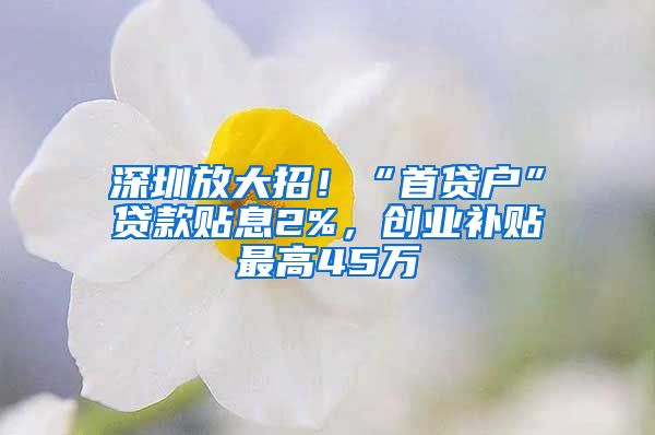 深圳放大招！“首贷户”贷款贴息2%，创业补贴最高45万