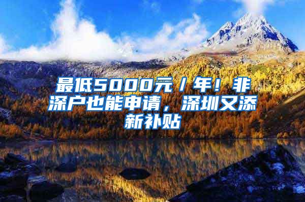 最低5000元／年！非深户也能申请，深圳又添新补贴