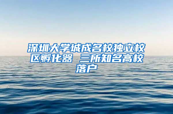 深圳大学城成名校独立校区孵化器 三所知名高校落户