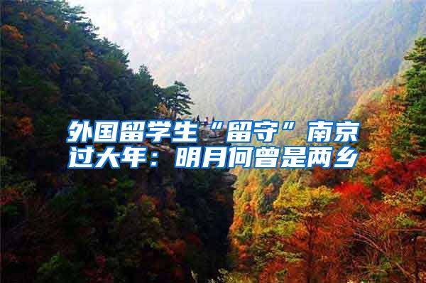 外国留学生“留守”南京过大年：明月何曾是两乡