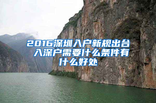 2016深圳入户新规出台 入深户需要什么条件有什么好处