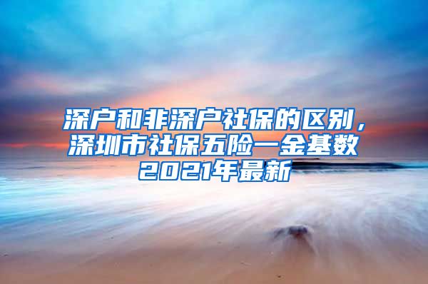 深户和非深户社保的区别，深圳市社保五险一金基数2021年最新