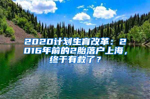 2020计划生育改革：2016年前的2胎落户上海，终于有救了？