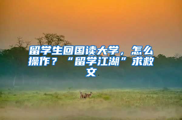 留学生回国读大学，怎么操作？“留学江湖”求救文