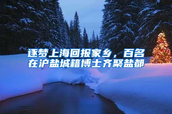 逐梦上海回报家乡，百名在沪盐城籍博士齐聚盐都