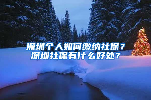 深圳个人如何缴纳社保？深圳社保有什么好处？