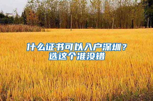 什么证书可以入户深圳？选这个准没错