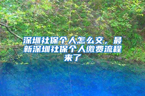 深圳社保个人怎么交，最新深圳社保个人缴费流程来了