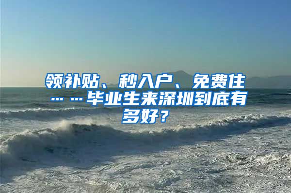 领补贴、秒入户、免费住……毕业生来深圳到底有多好？