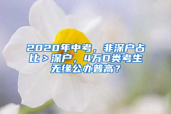 2020年中考，非深户占比＞深户，4万D类考生无缘公办普高？