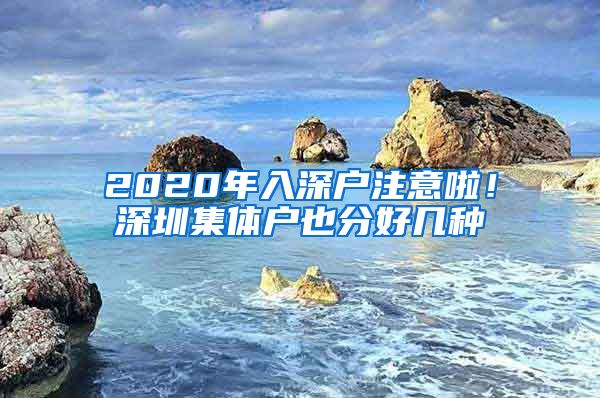 2020年入深户注意啦！深圳集体户也分好几种