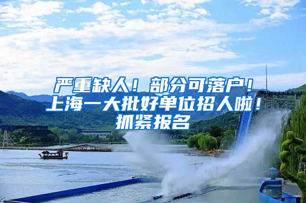 严重缺人！部分可落户！上海一大批好单位招人啦！抓紧报名