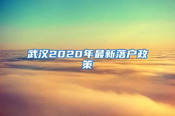 武汉2020年最新落户政策