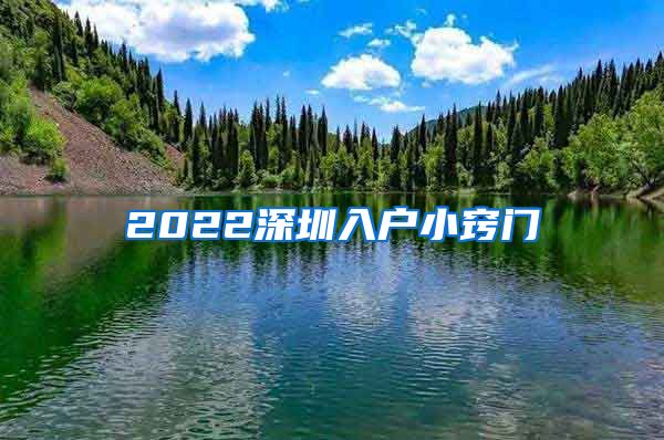 2022深圳入户小窍门