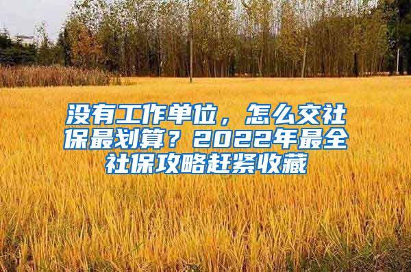 没有工作单位，怎么交社保最划算？2022年最全社保攻略赶紧收藏