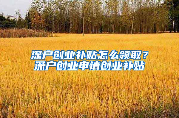 深户创业补贴怎么领取？深户创业申请创业补贴