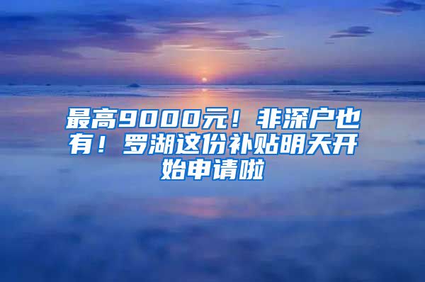 最高9000元！非深户也有！罗湖这份补贴明天开始申请啦