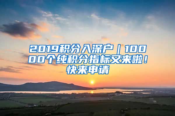 2019积分入深户｜10000个纯积分指标又来啦！快来申请