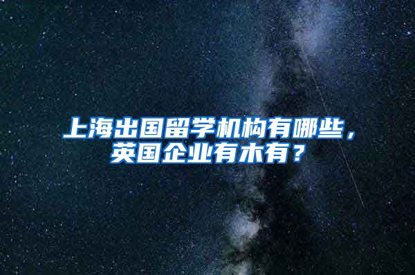 上海出国留学机构有哪些，英国企业有木有？