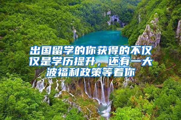 出国留学的你获得的不仅仅是学历提升，还有一大波福利政策等着你