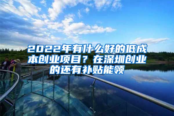 2022年有什么好的低成本创业项目？在深圳创业的还有补贴能领