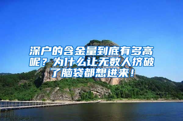 深户的含金量到底有多高呢？为什么让无数人挤破了脑袋都想进来！