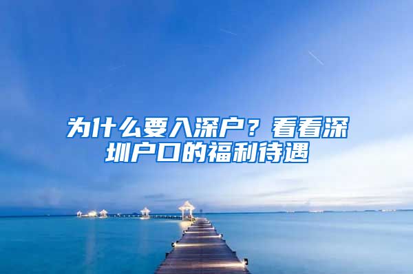 为什么要入深户？看看深圳户口的福利待遇