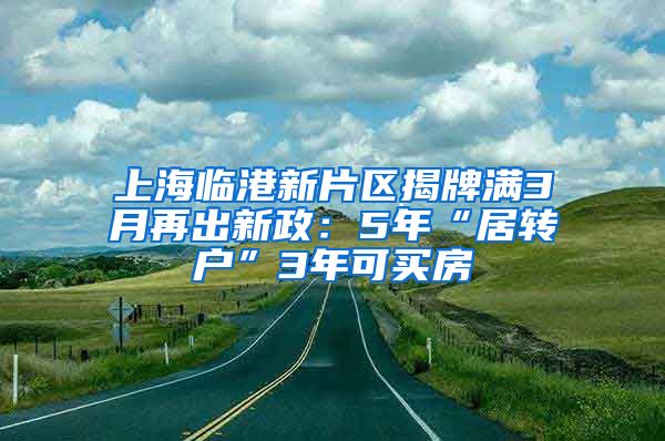 上海临港新片区揭牌满3月再出新政：5年“居转户”3年可买房