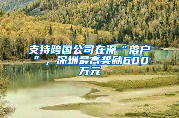 支持跨国公司在深“落户”，深圳最高奖励600万元