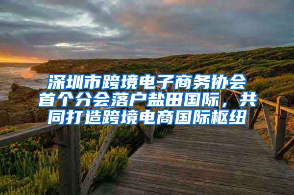 深圳市跨境电子商务协会首个分会落户盐田国际，共同打造跨境电商国际枢纽