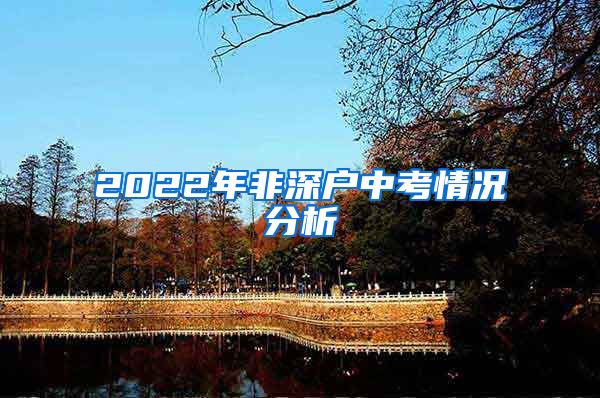 2022年非深户中考情况分析