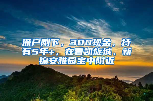 深户刚下，300现金，持有5年+，在看凯旋城、新锦安雅园宝中附近