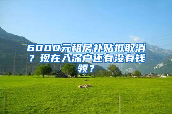 6000元租房补贴拟取消？现在入深户还有没有钱领？