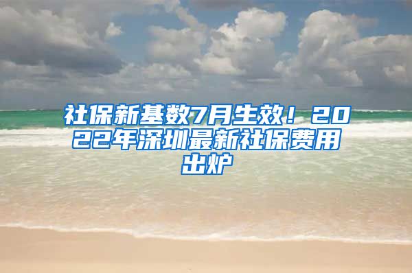 社保新基数7月生效！2022年深圳最新社保费用出炉